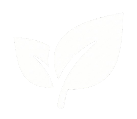 Gemini_Generated_Image_kvym9hkvym9hkvym-removebg-preview